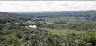 photo of landscape