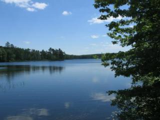 landscape photo