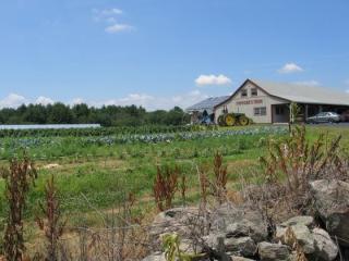 landscape photo