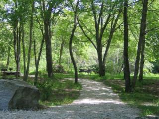 landscape photo