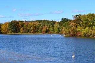 landscape photo